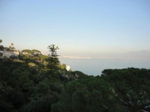 Wineries From Ponza to Castellabate